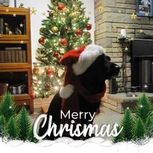 Meet your Posher, Jeannette